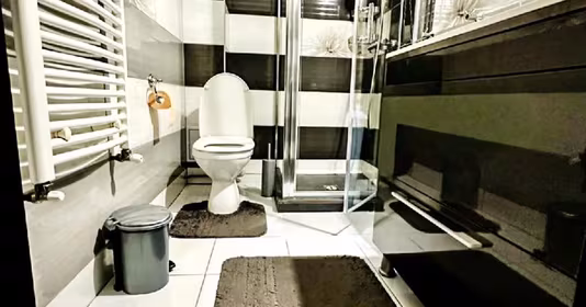 Apartament Podul de Fier