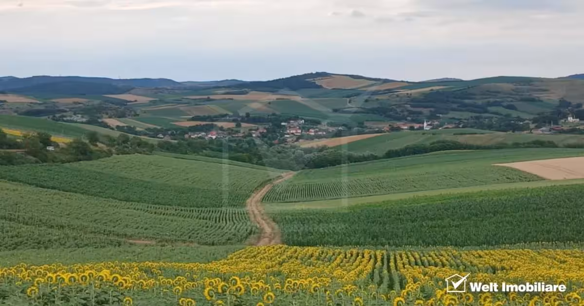Casă individuală de vânzare cu 2 camere în Cămărașu