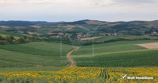 Casă Cămărașu