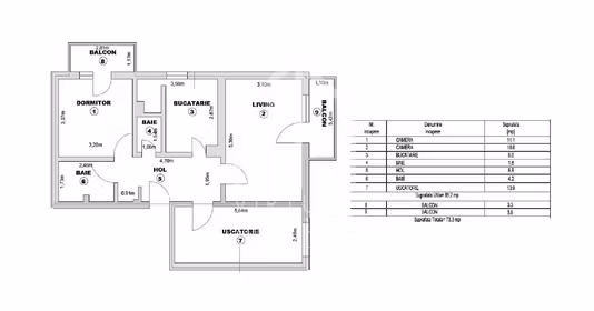 Apartament Turnișor