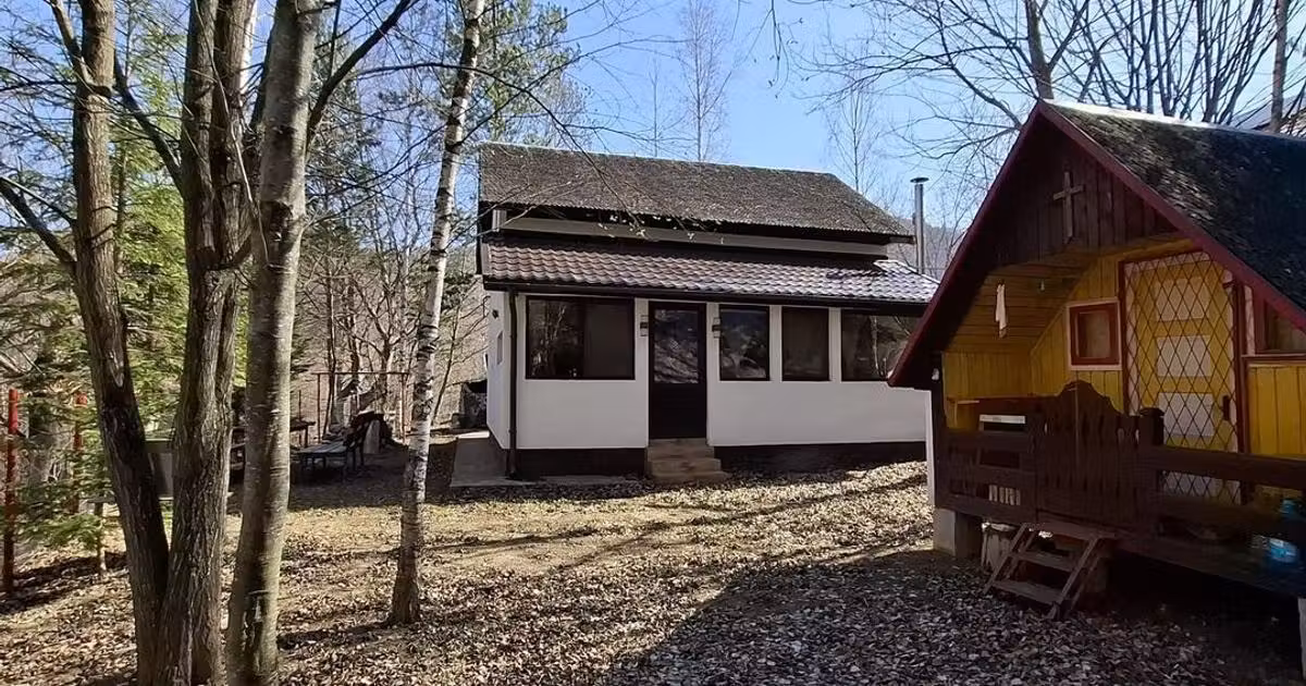Casă de vânzare cu 4 camere în Lepșa