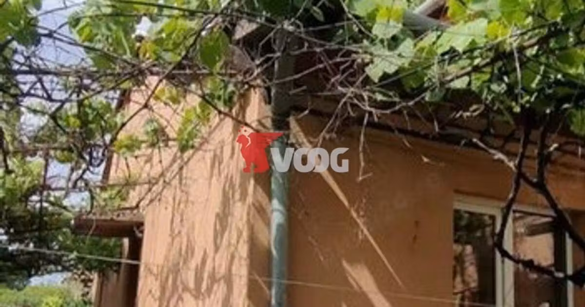 Casă individuală de vânzare cu 9 camere în zona Telegrafului, Timișoara