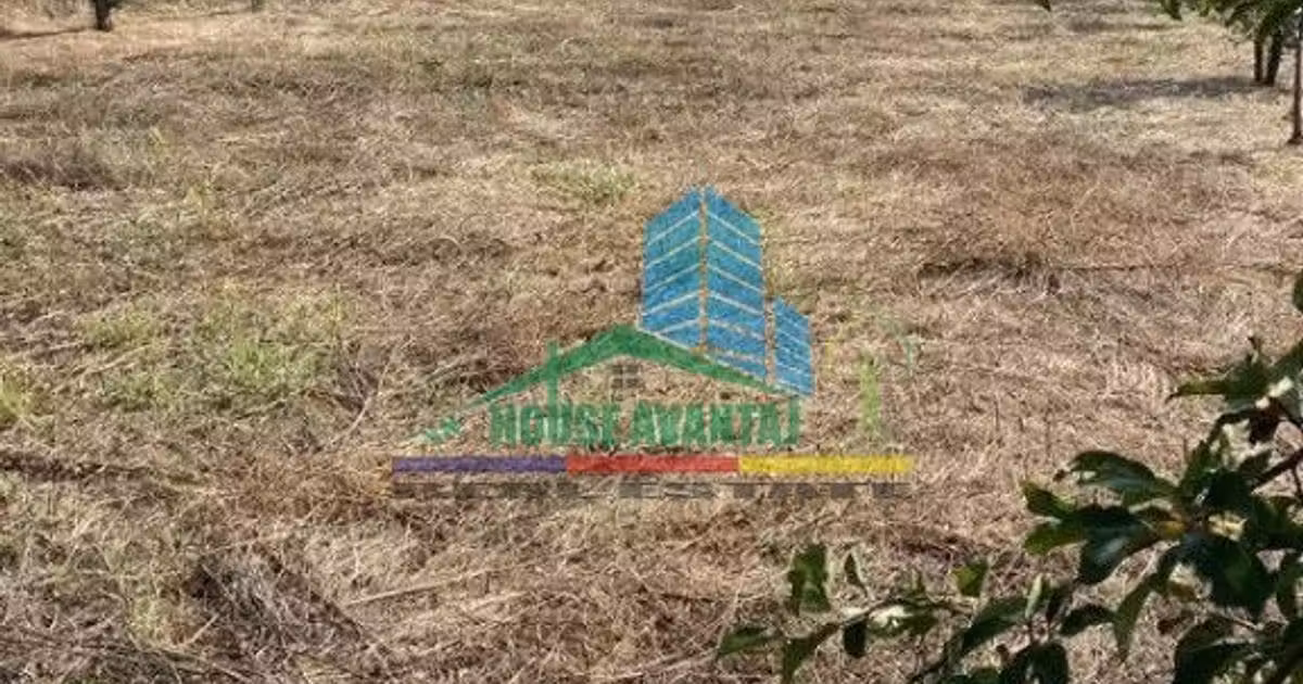 Teren Construcții intravilan de vânzare de 1500 mp, în Petrești