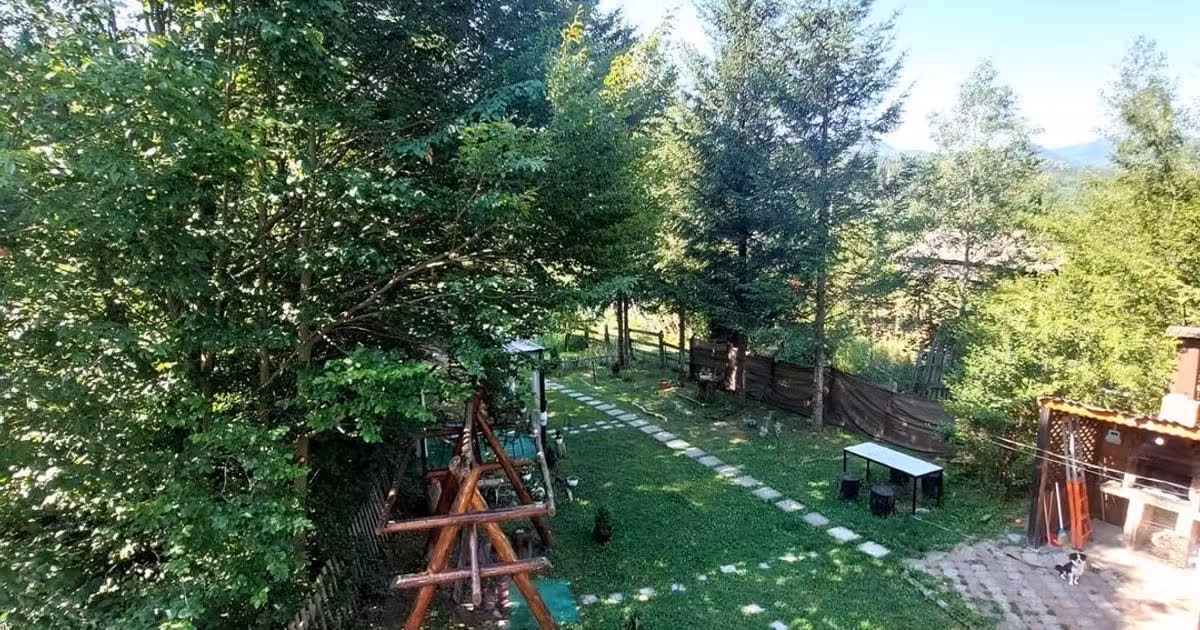 Casă de vânzare cu 5 camere în Lepșa