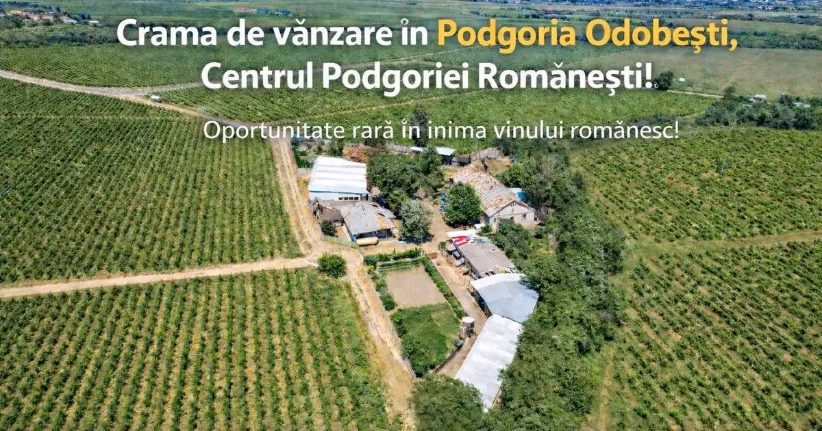 Spațiu comercial · 1500 m², Vârteșcoiu, Odobești