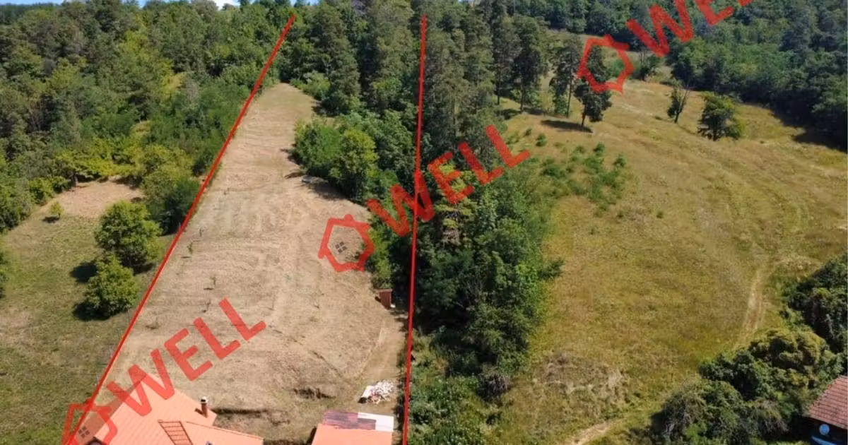 Casă individuală de vânzare cu 3 camere în Dalnic