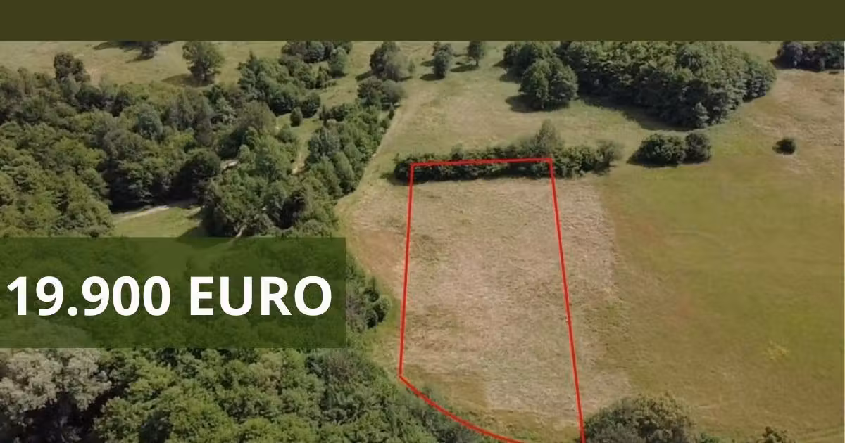 Teren extravilan de vânzare de 1800 mp, în Malnaș