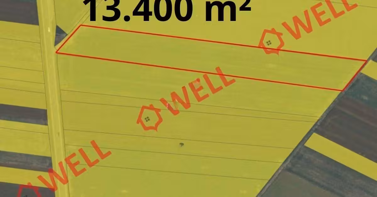 Teren extravilan de vânzare de 71651 mp, în Chichiș