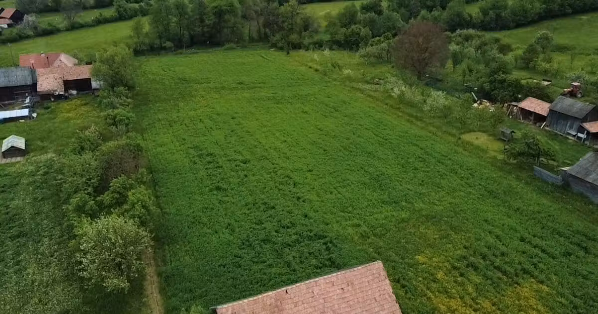 Teren intravilan de vânzare de 2197 mp, în Zagon