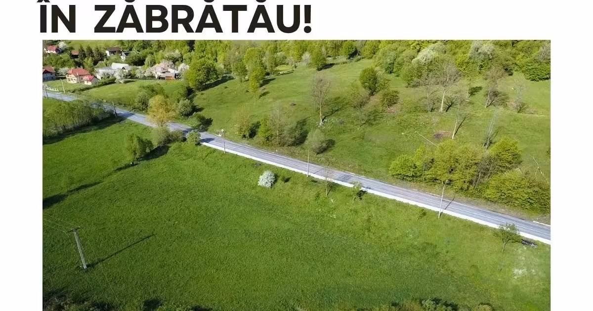Teren extravilan de vânzare de 6500 mp, în Zăbrătău