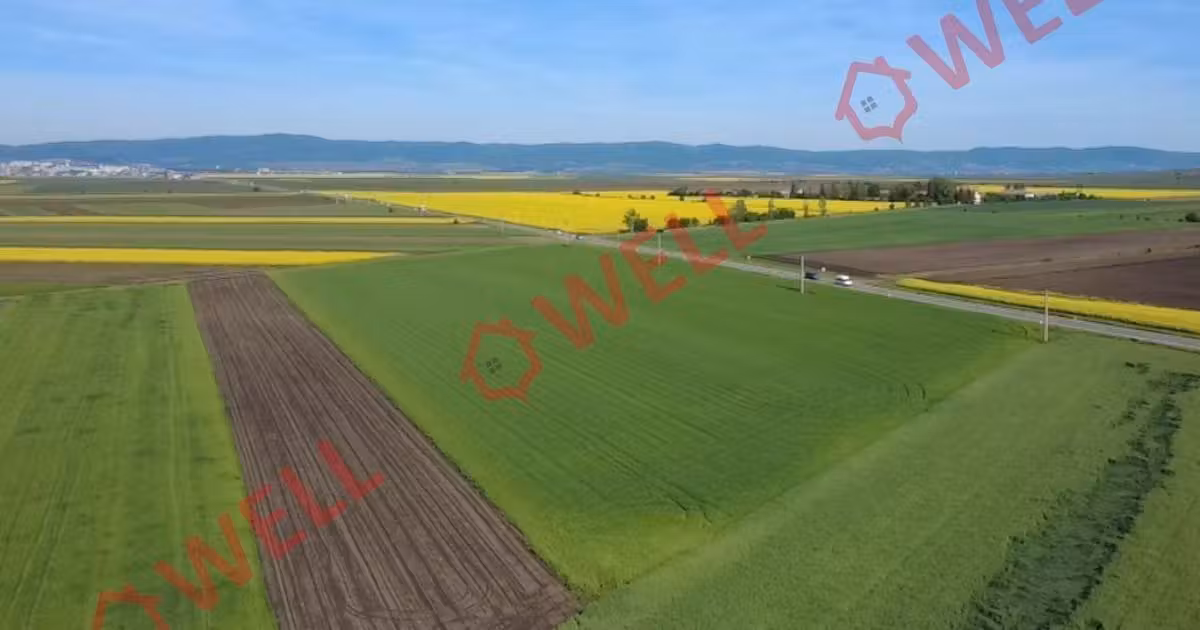 Teren intravilan de vânzare de 32710 mp, în zona Periferie, Sfântu Gheorghe