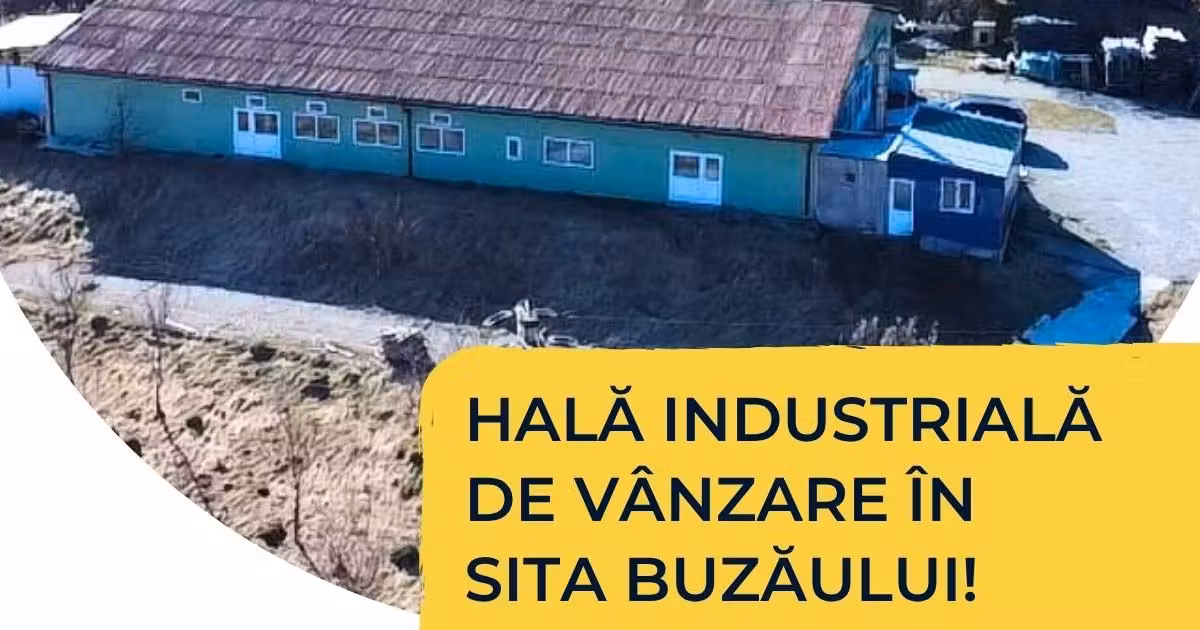 Spațiu industrial de vânzare 587 mp în Sita Buzăului
