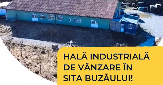 Spațiu comercial Sita Buzăului