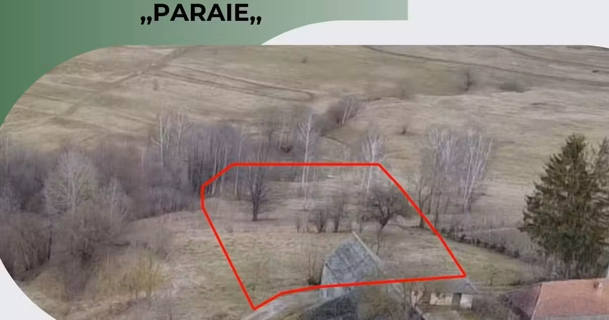 Teren extravilan de vânzare de 5800 mp, în Sărămaș