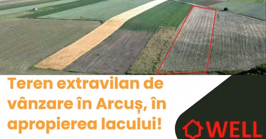 Teren Arcuș
