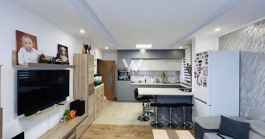 Apartament Vasile Aaron