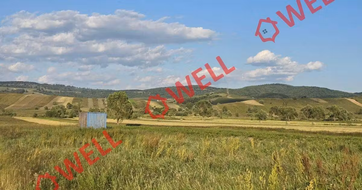 Teren extravilan de vânzare de 9637 mp, în Sărămaș