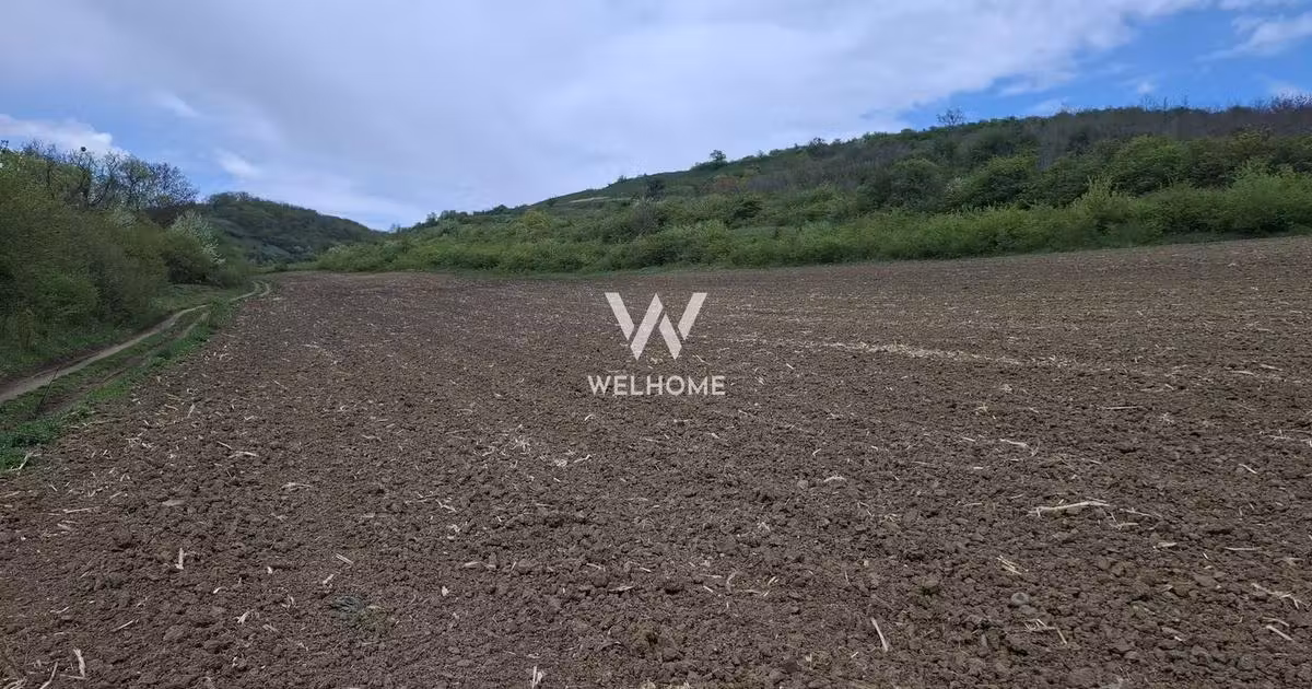 Teren agricol extravilan de vânzare de 18175 mp, în zona Gușterița, Sibiu