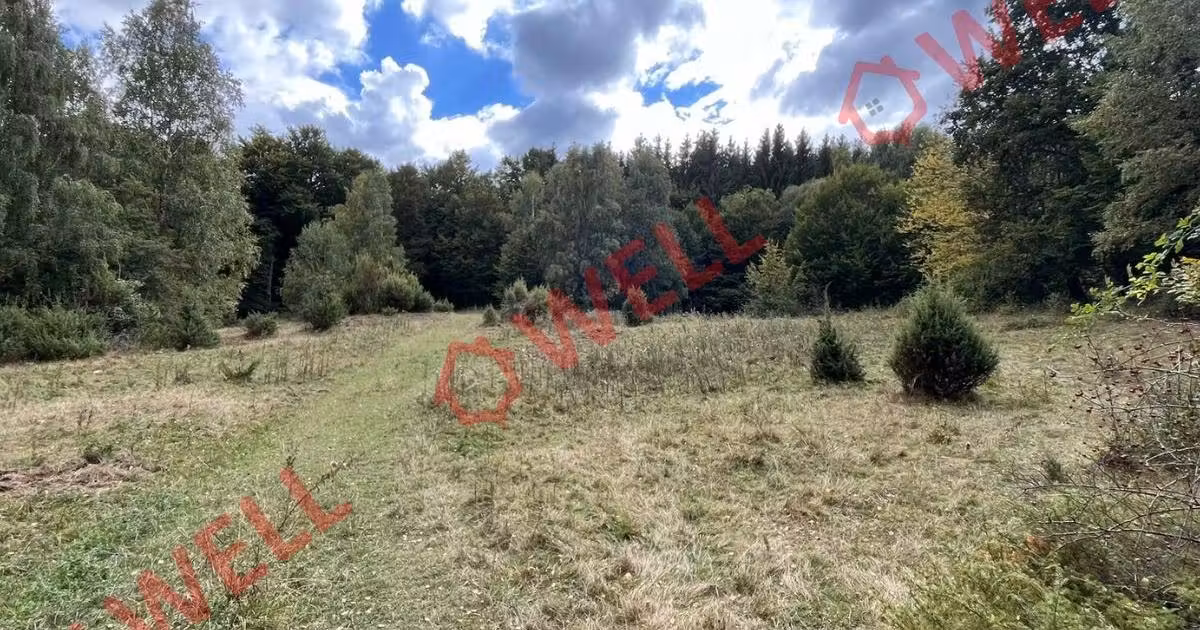 Teren agricol extravilan de vânzare de 55000 mp, în Cernat
