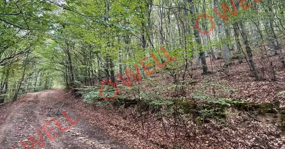 Teren agricol extravilan de vânzare de 200000 mp, în Dalnic