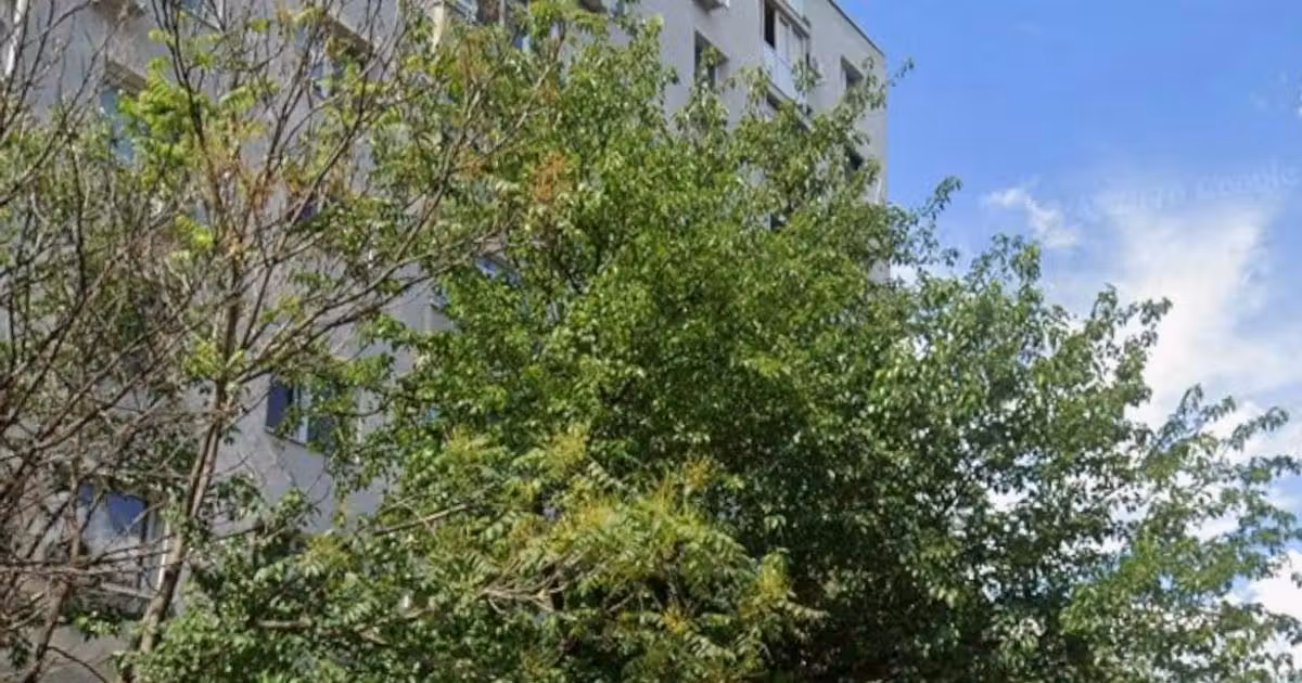 Apartament de vânzare cu 3 camere în zona Dristor, Sector 3