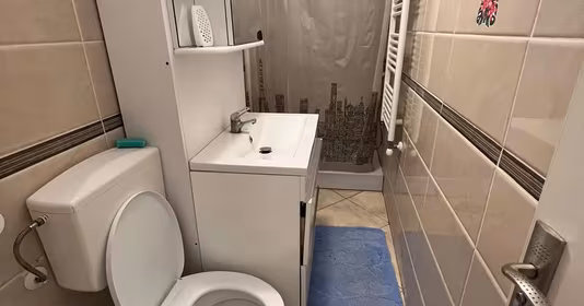 Apartament Central