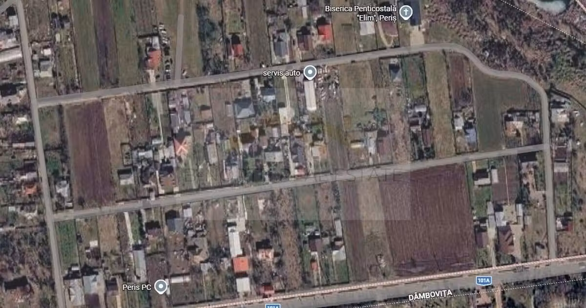 Teren Construcții intravilan de vânzare de 1700 mp, în Movila (Niculești)