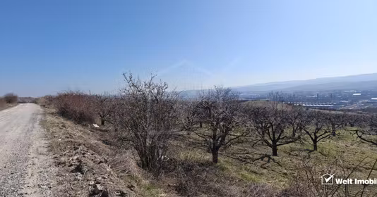 Teren Mărăști