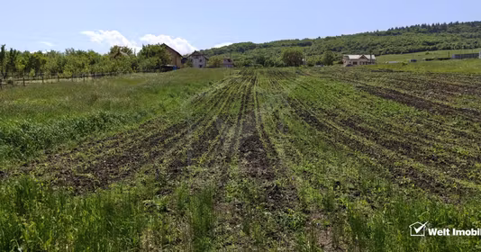 Teren Bună Ziua
