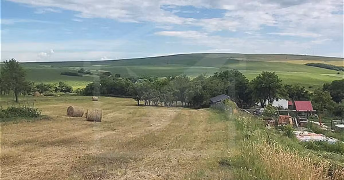 Teren Construcții intravilan de vânzare de 1633 mp, în Rediu