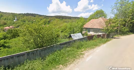 Teren Bună Ziua