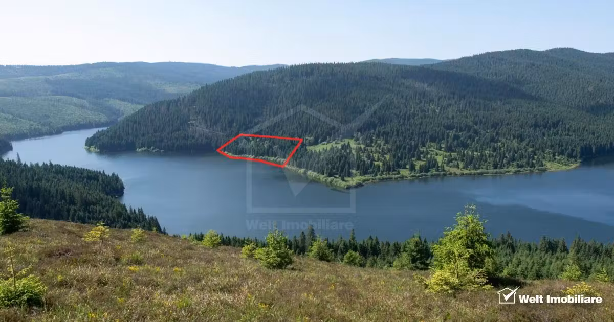Teren extravilan de vânzare de 15871 mp, în Beliș