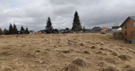 Teren Bălcești (Beliș)