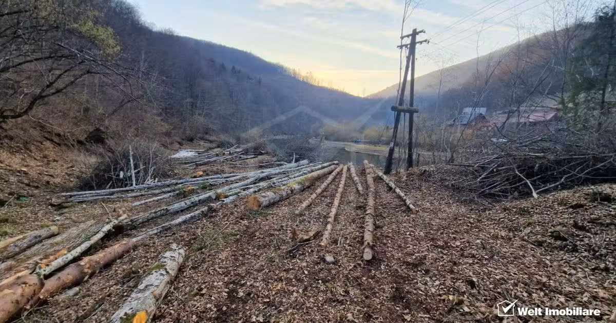 Teren Construcții intravilan de vânzare de 3279 mp, în Mărișel