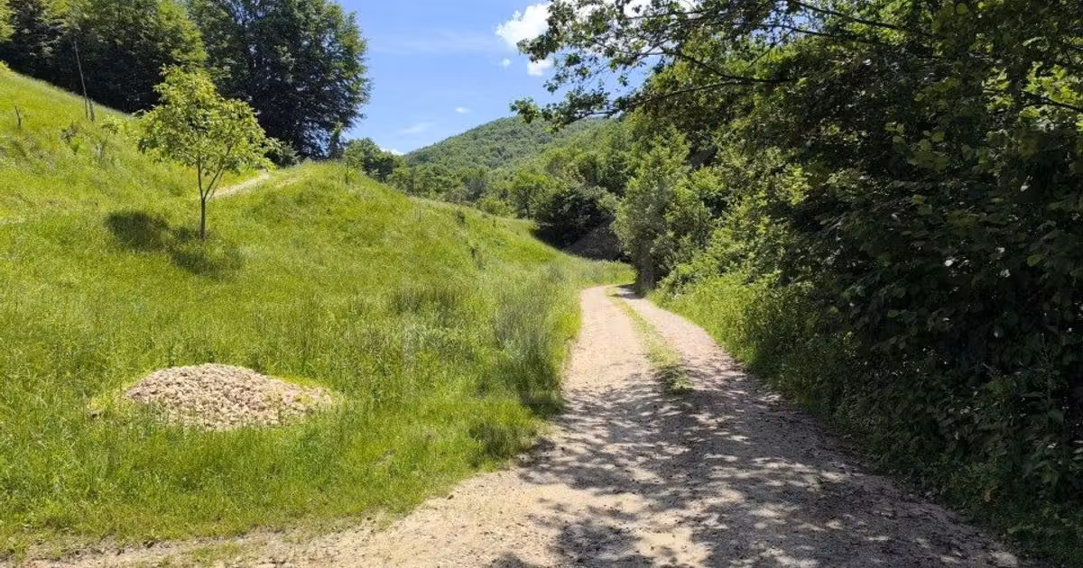 Teren agricol extravilan de vânzare de 1423 mp, în Huta