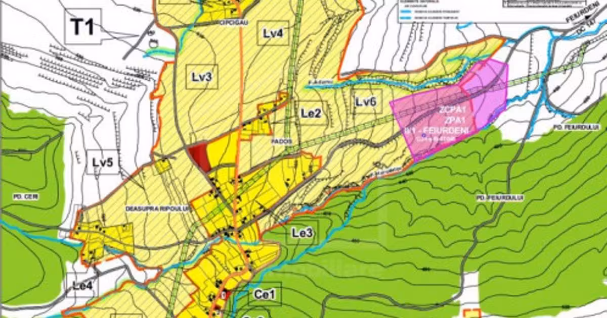 Teren agricol extravilan de vânzare de 20700 mp, în Pădureni (Chinteni)