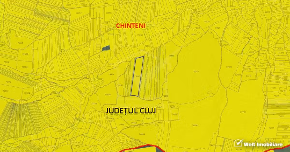 Teren extravilan de vânzare de 29000 mp, în Pădureni (Chinteni)