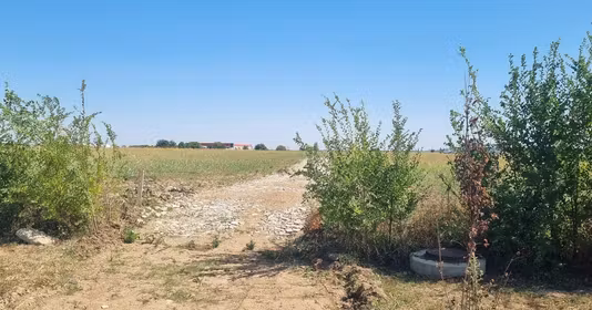 Teren Balotești