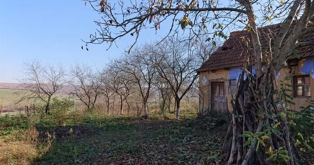 Teren Construcții intravilan de vânzare de 2583 mp, în Sântelec