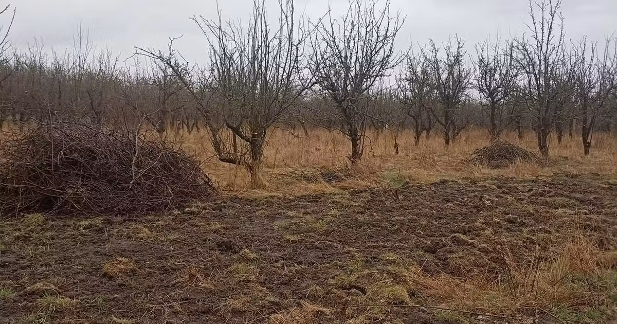 Teren Construcții intravilan de vânzare de 455 mp, în zona Periferie, Sfântu Gheorghe