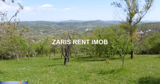 Teren Predeal-Sărari