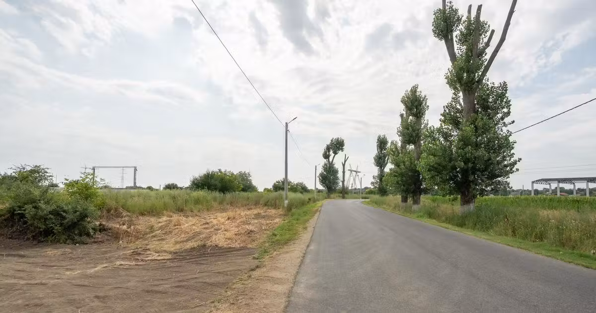 Teren Construcții intravilan de vânzare de 30000 mp, în Cernica
