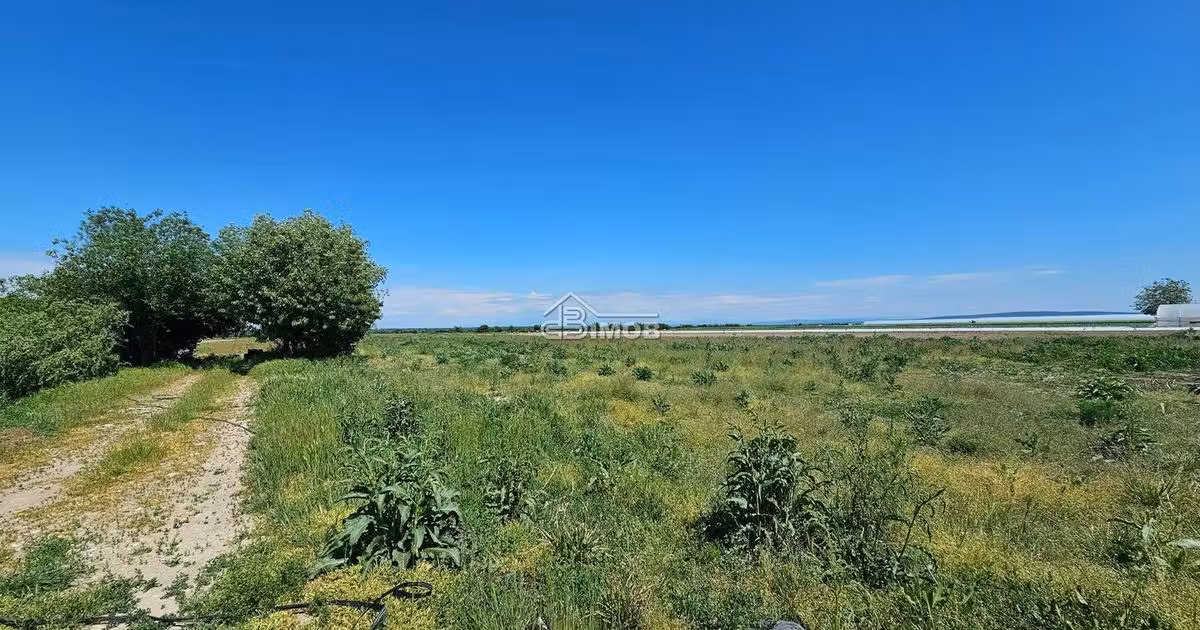 Teren agricol extravilan de vânzare de 10900 mp, în Băleni-Sârbi