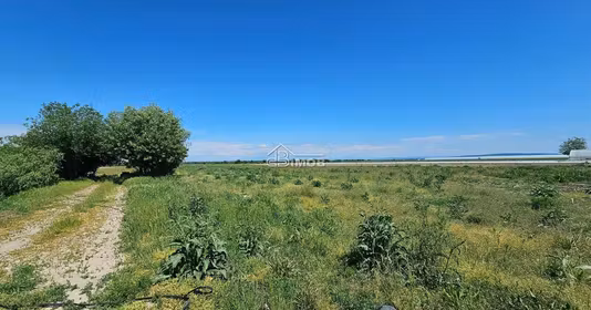 Teren Băleni-Sârbi