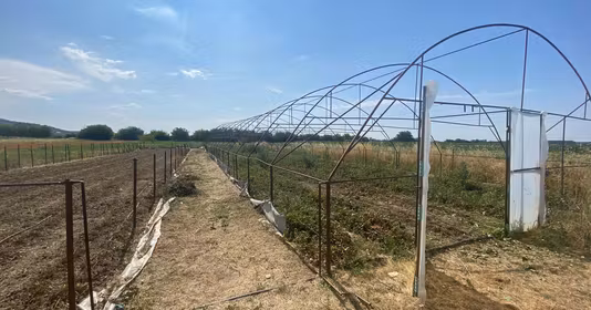 Teren Udeni-Zăvoi