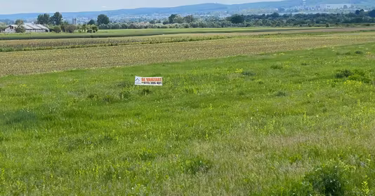 Teren Purcăreni (Micești)