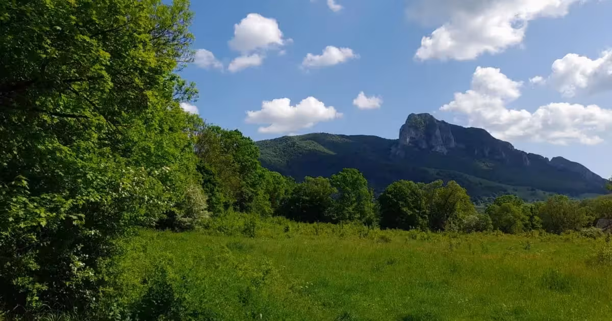 Teren Construcții intravilan de vânzare de 1000 mp, în Rimetea