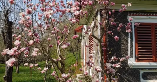 Casă Runcu