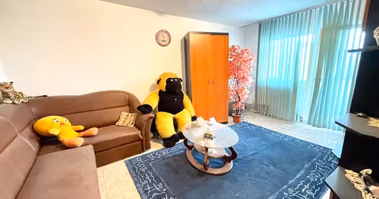 Apartament Republicii