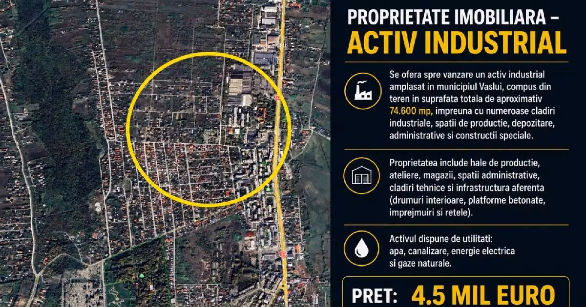 Spațiu industrial de vânzare în zona Nord, Vaslui